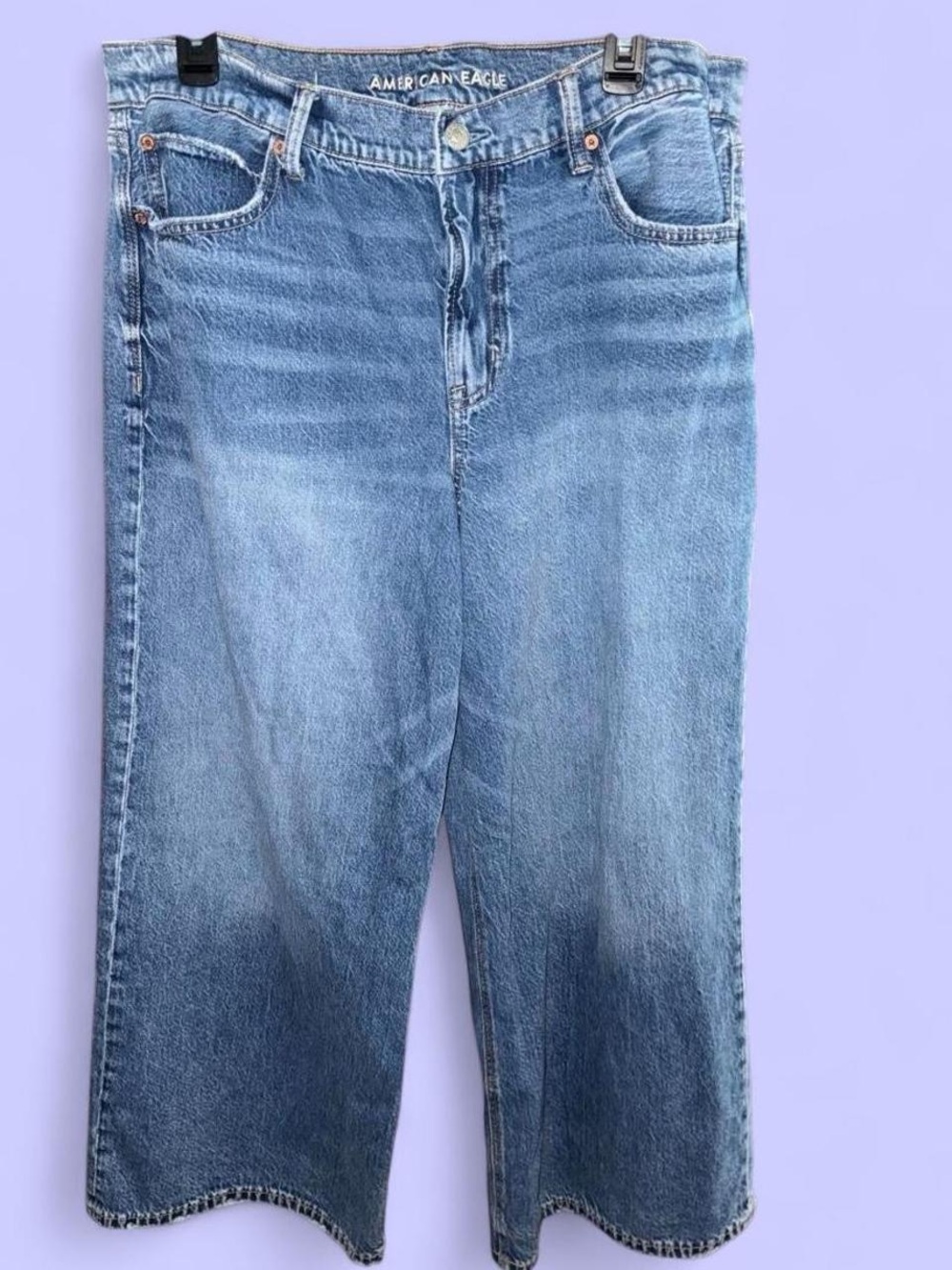 American Eagle Outfitters Women’s Wide-Legged Strigid Jeans Size 14 Short